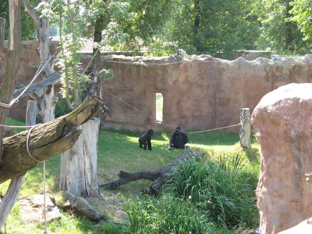 ZOO 16.7.2008 (19).jpg