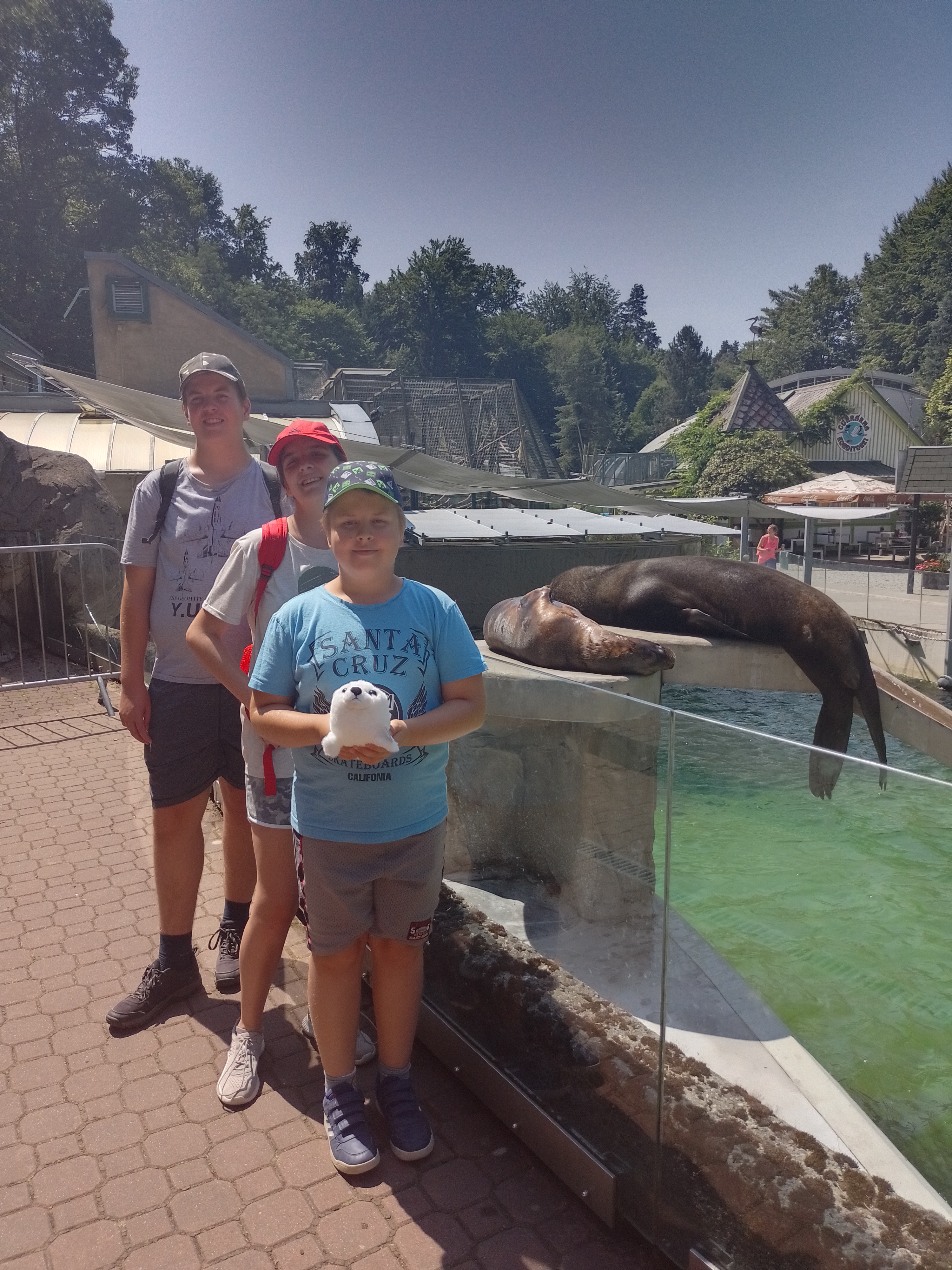 IMG_20220720_122832_HDR