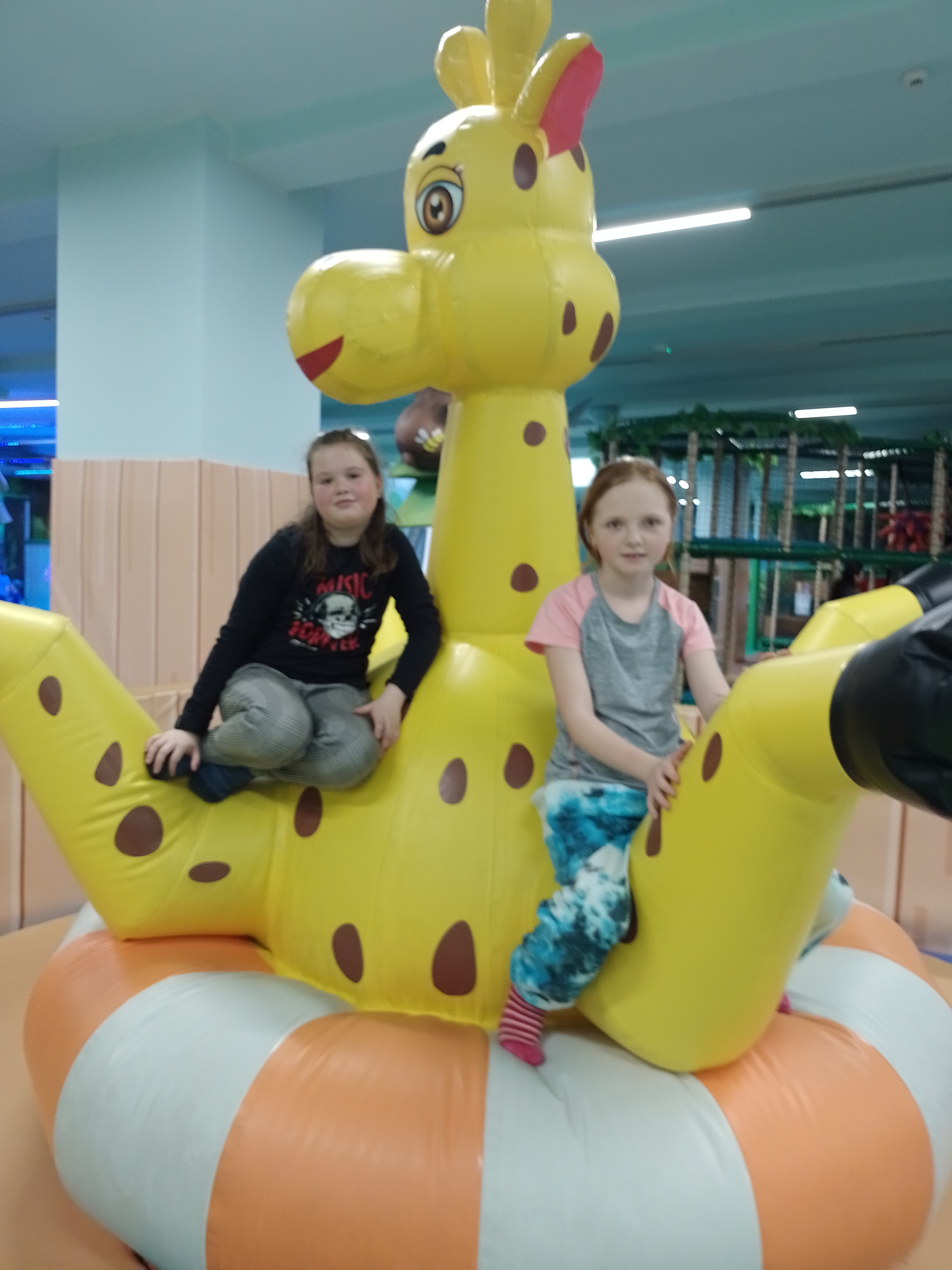IMG_20230203_120605
