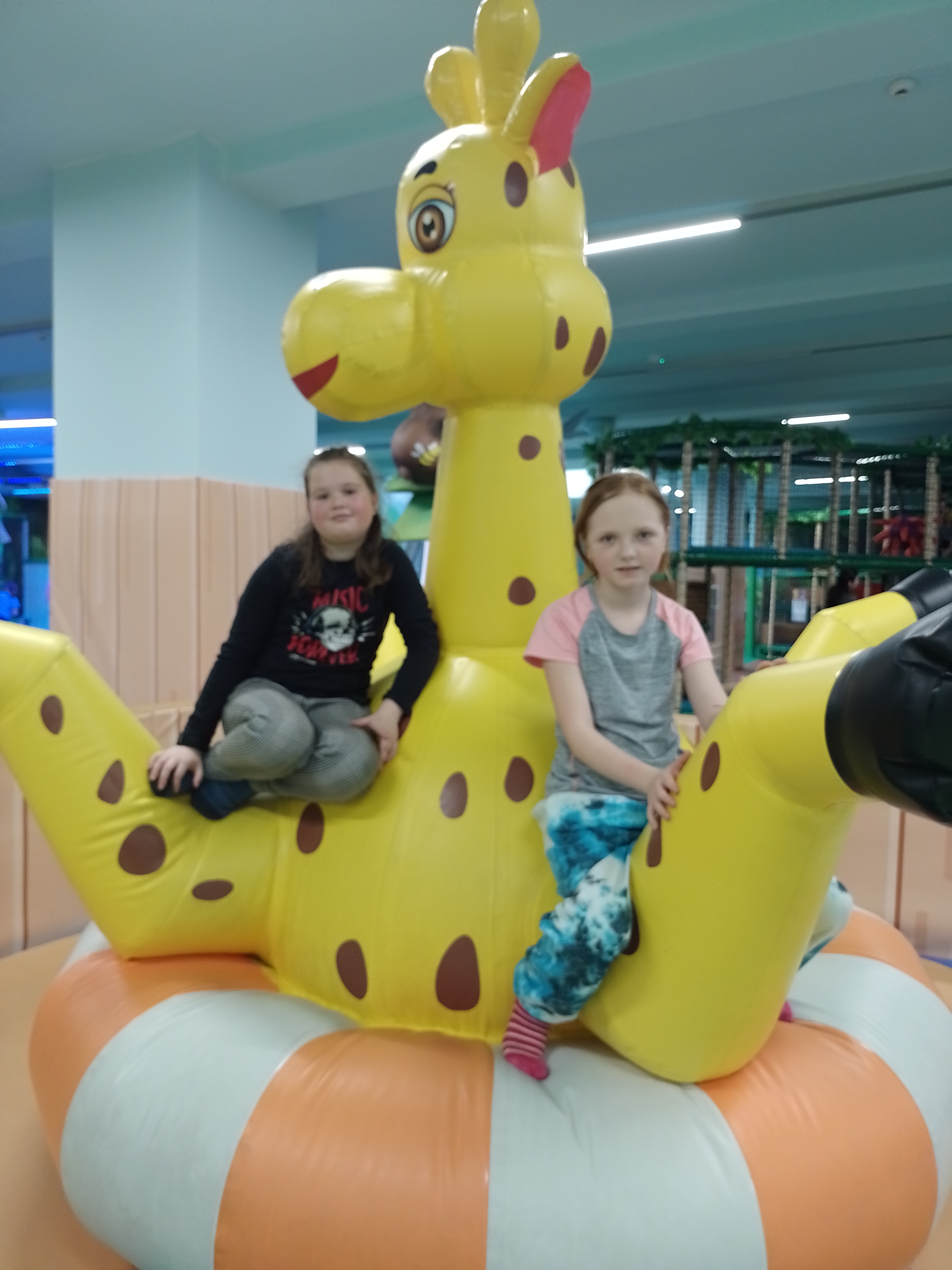 IMG_20230203_120603