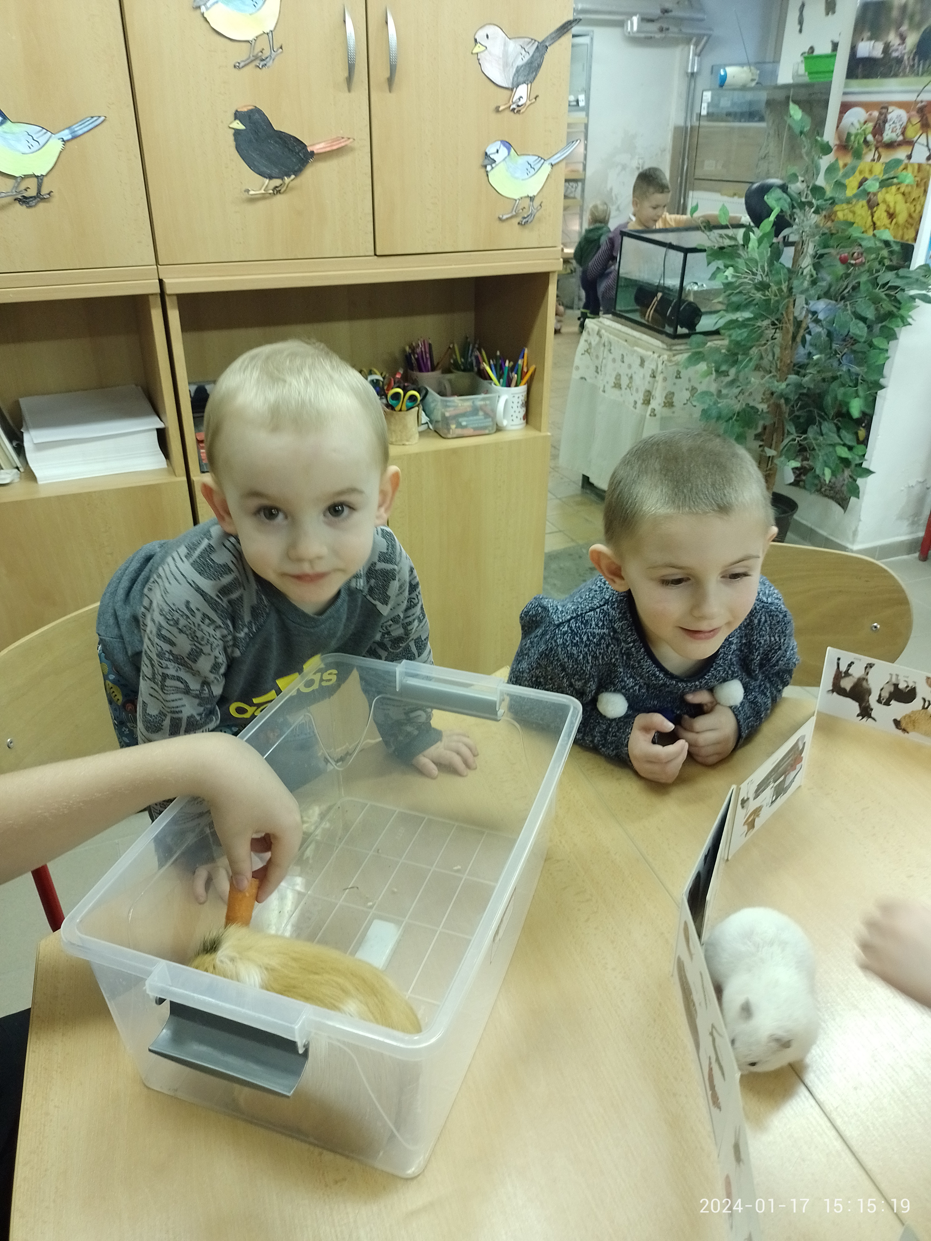 IMG_20240117_151519