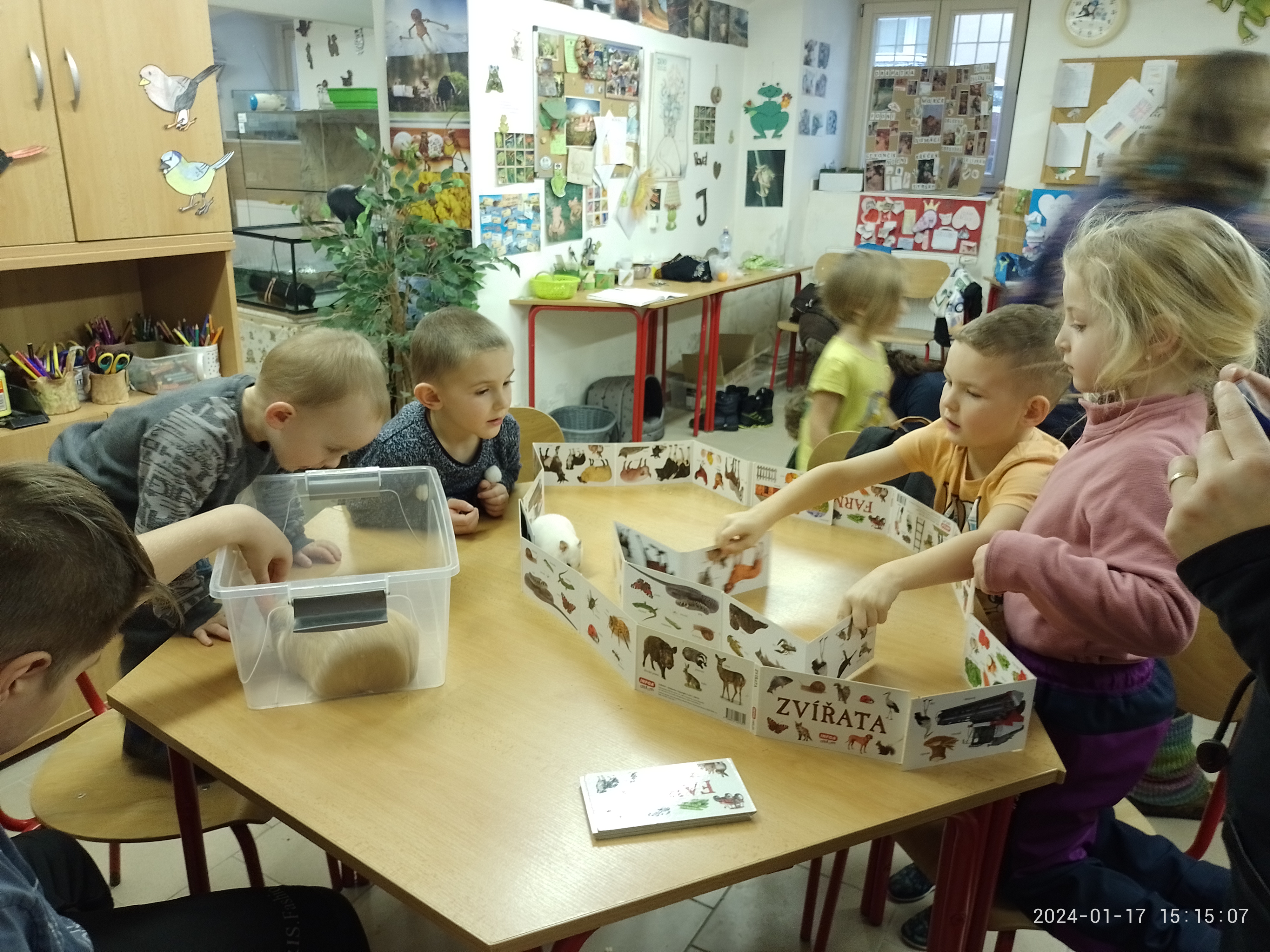 IMG_20240117_151506