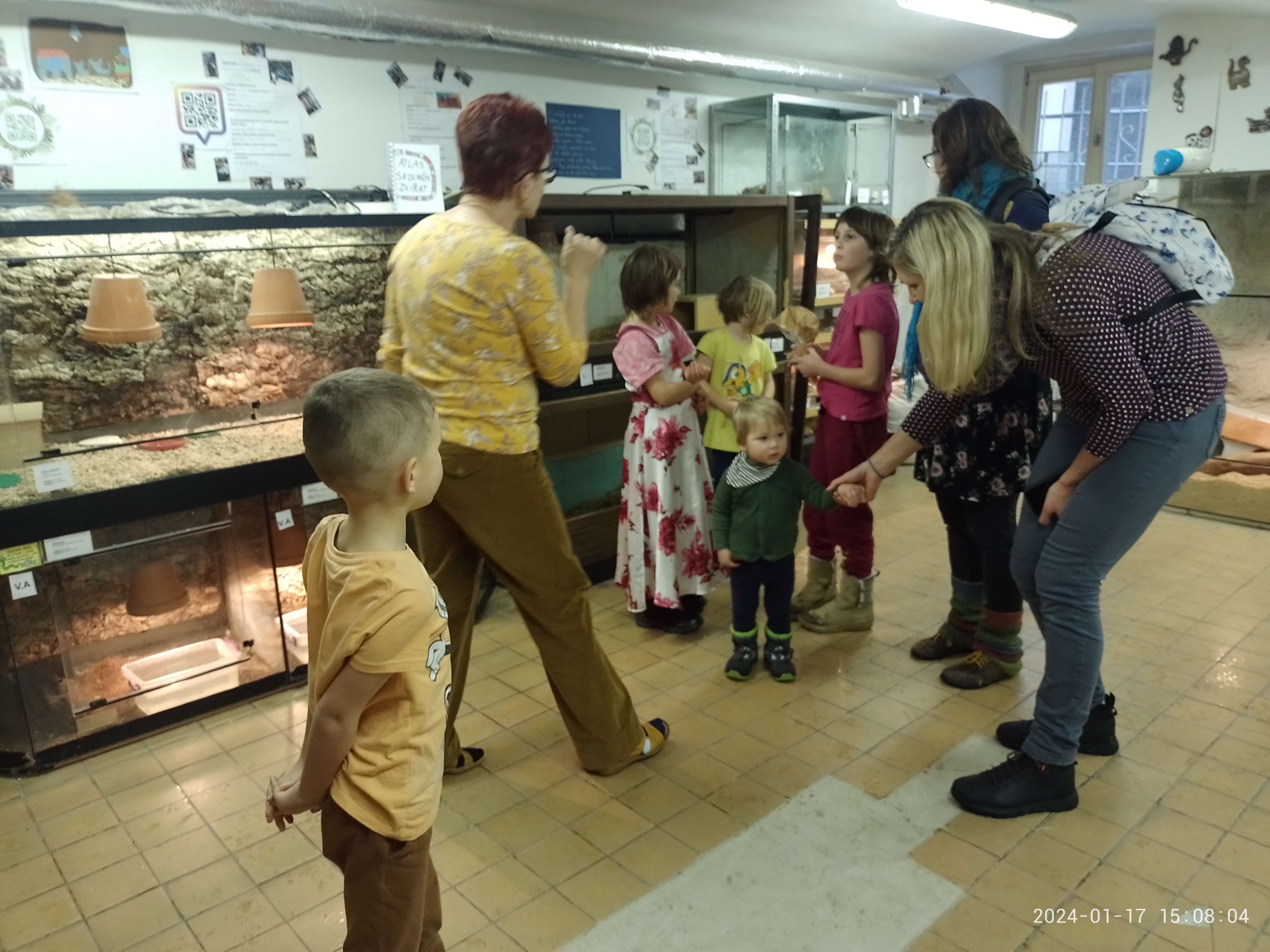 IMG_20240117_150804