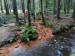 IMG-20240617-WA0021
