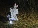 241102Duba_dusickpruvod 090kopie1920b