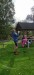 IMG-20241013-WA0011